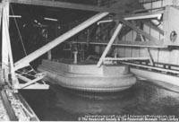 SRN4 early developmental days